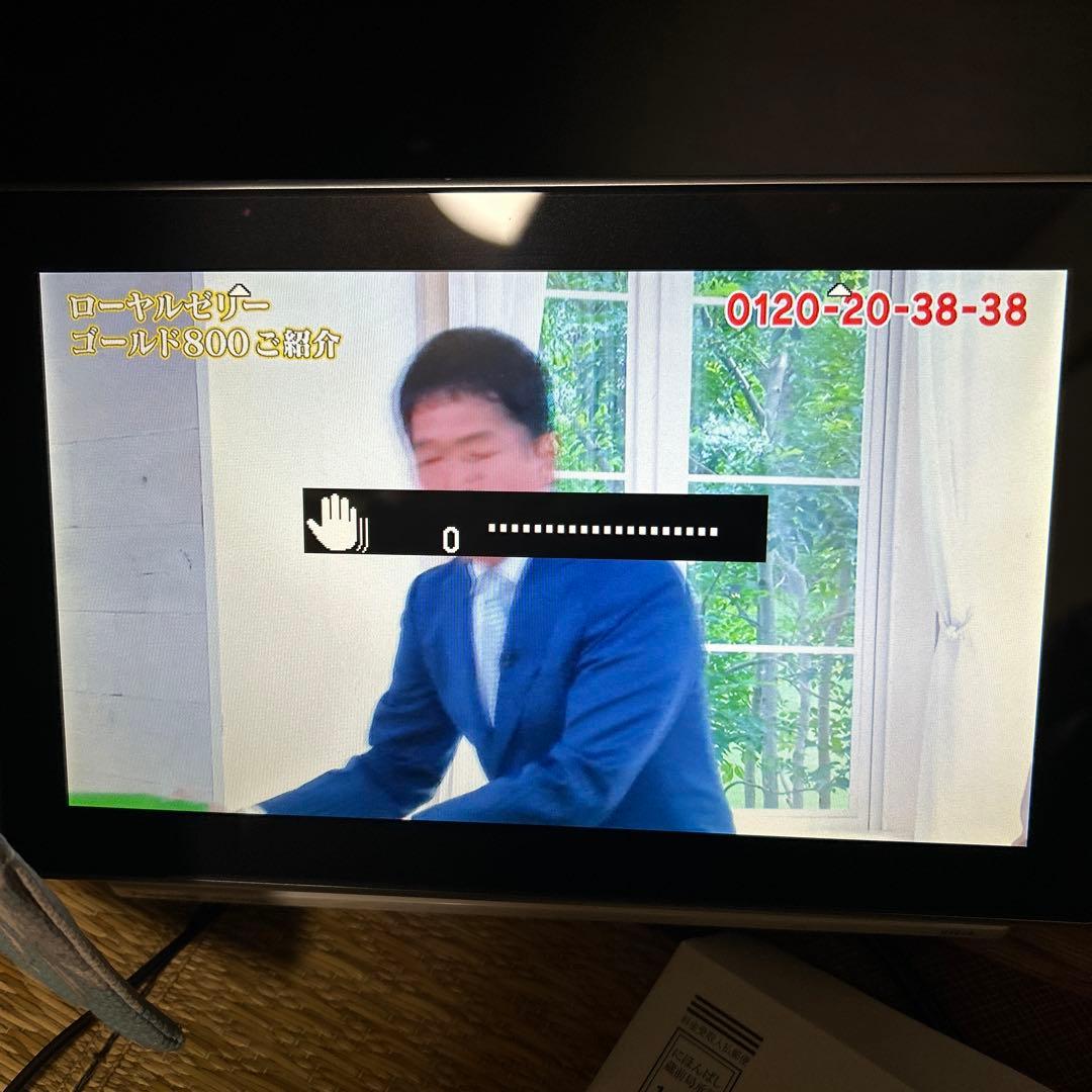 ポータブルテレビ VIERA ビエラ DMP-HV200