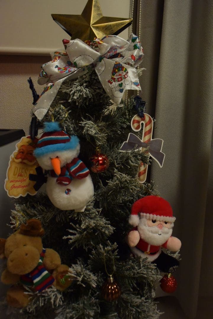 Nikon1 V3 カメラ純正バッテリー2個付き