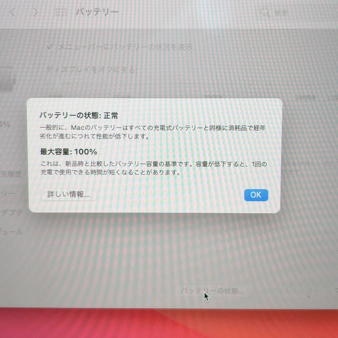 美品　AC+有 13インチMacBook Pro シルバー
