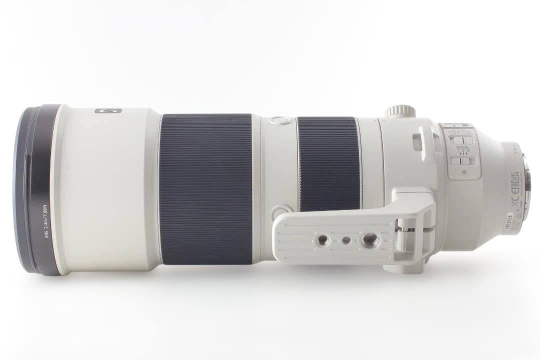 SONY FE 200-600mm F5.6-6.3 G OSS レンズ