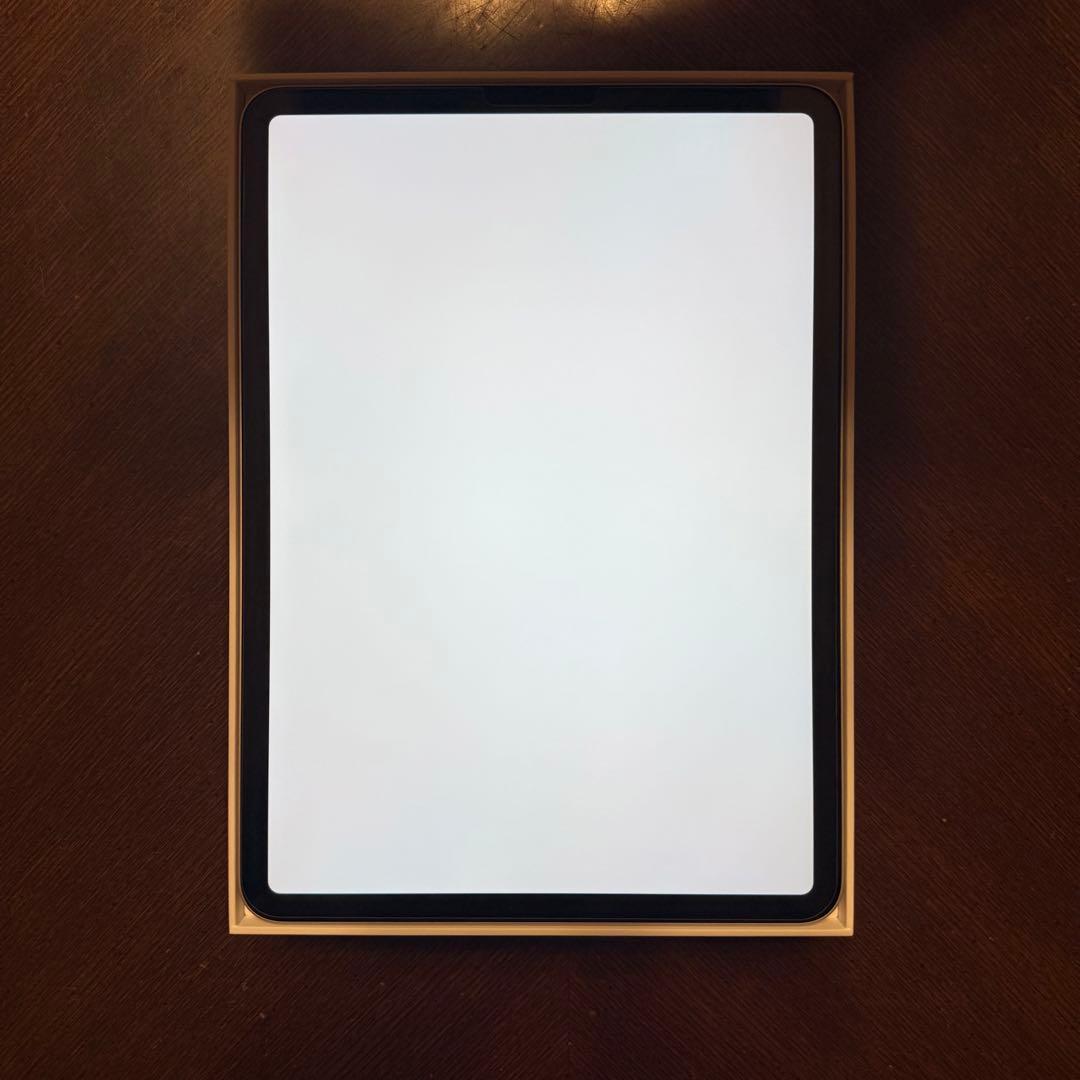 【値下中】【純正ペン/ケース付】【美品】Apple iPad Pro 11インチ