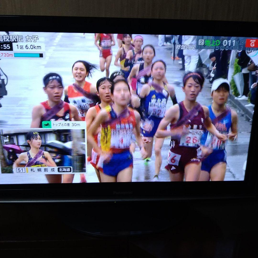 Panasonic TH-P42G1 テレビ 42インチ