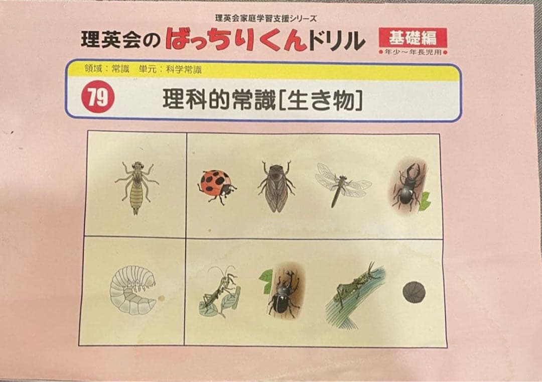 理英会　ばっちりくんドリル　基礎編44冊セット