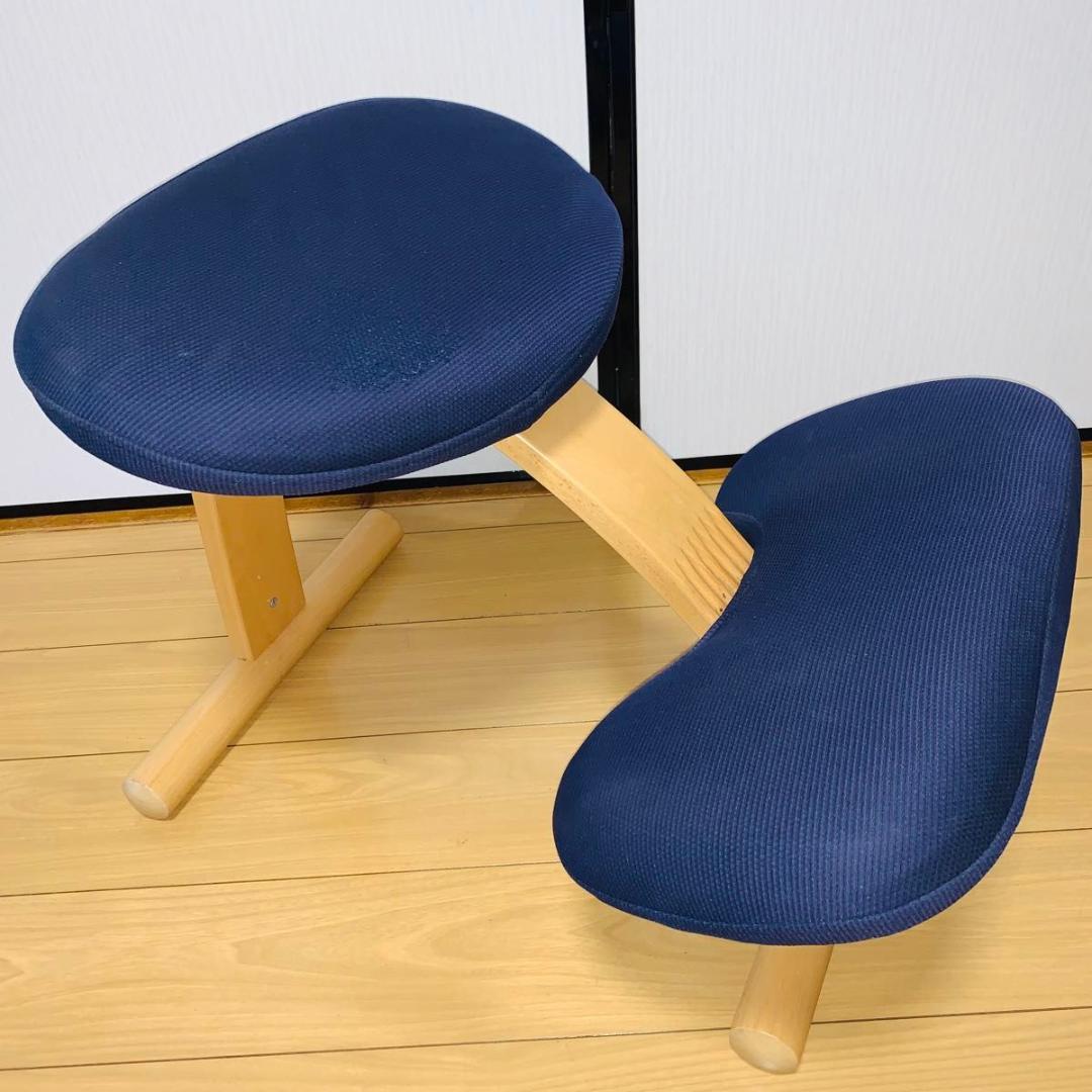 バランスチェア バランスイージー リボ社 バランスチェア バランスチェア