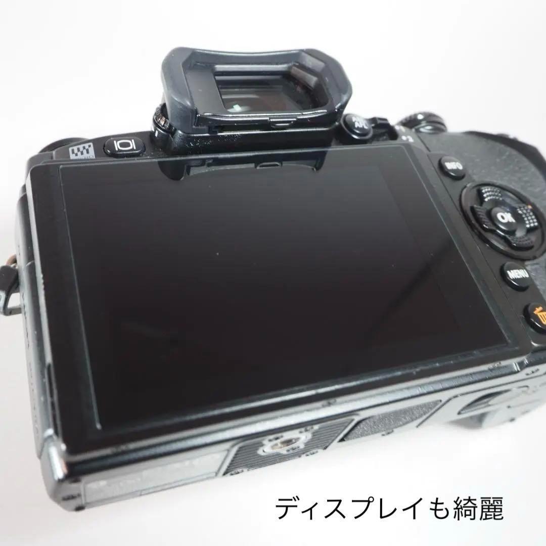 ☆美品☆ショット16,412回　OLYMPUS OM-D E-M1 ＃248