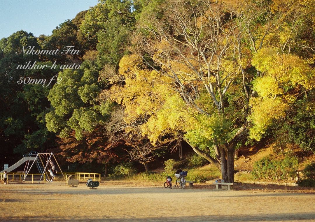 nikon ftn＊black＊50mm f2★完動品＊初期保証＊作例多数！