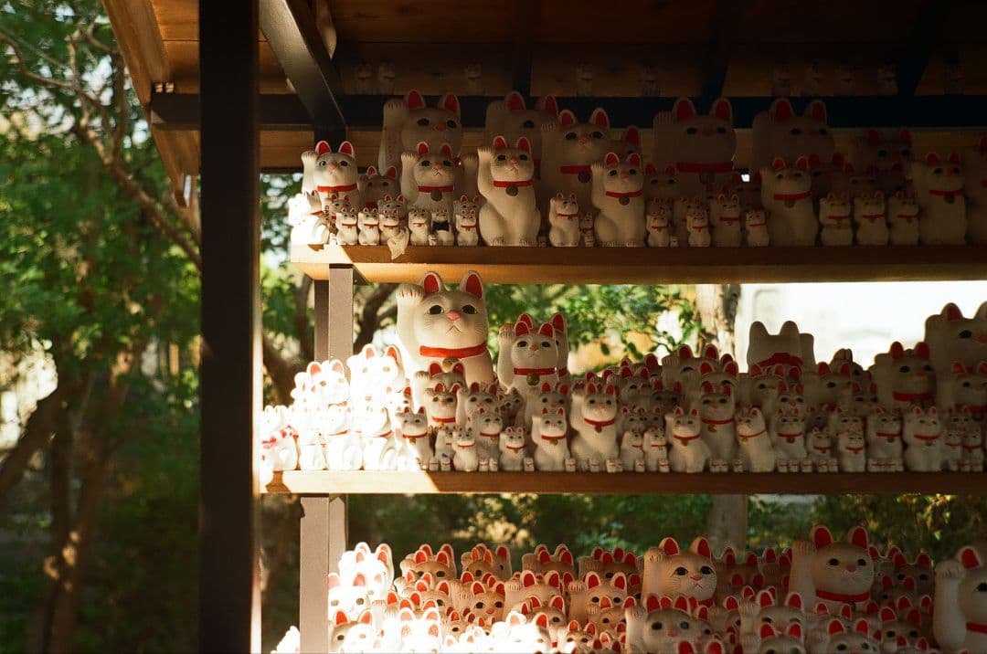 Rollei　35TE　　試写済