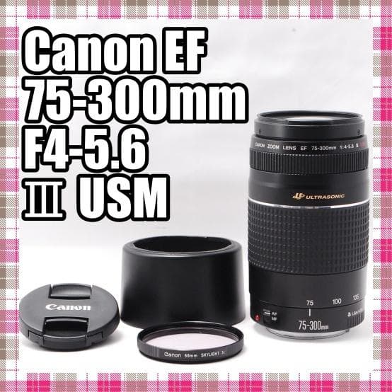 ✨望遠レンズ✨Canon EF 75-300mm F4-5.6 Ⅲ USM