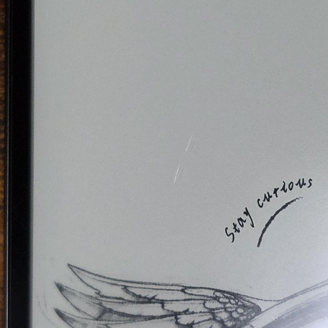 ONYX BOOX Palma 1 電子書籍リーダー 本体