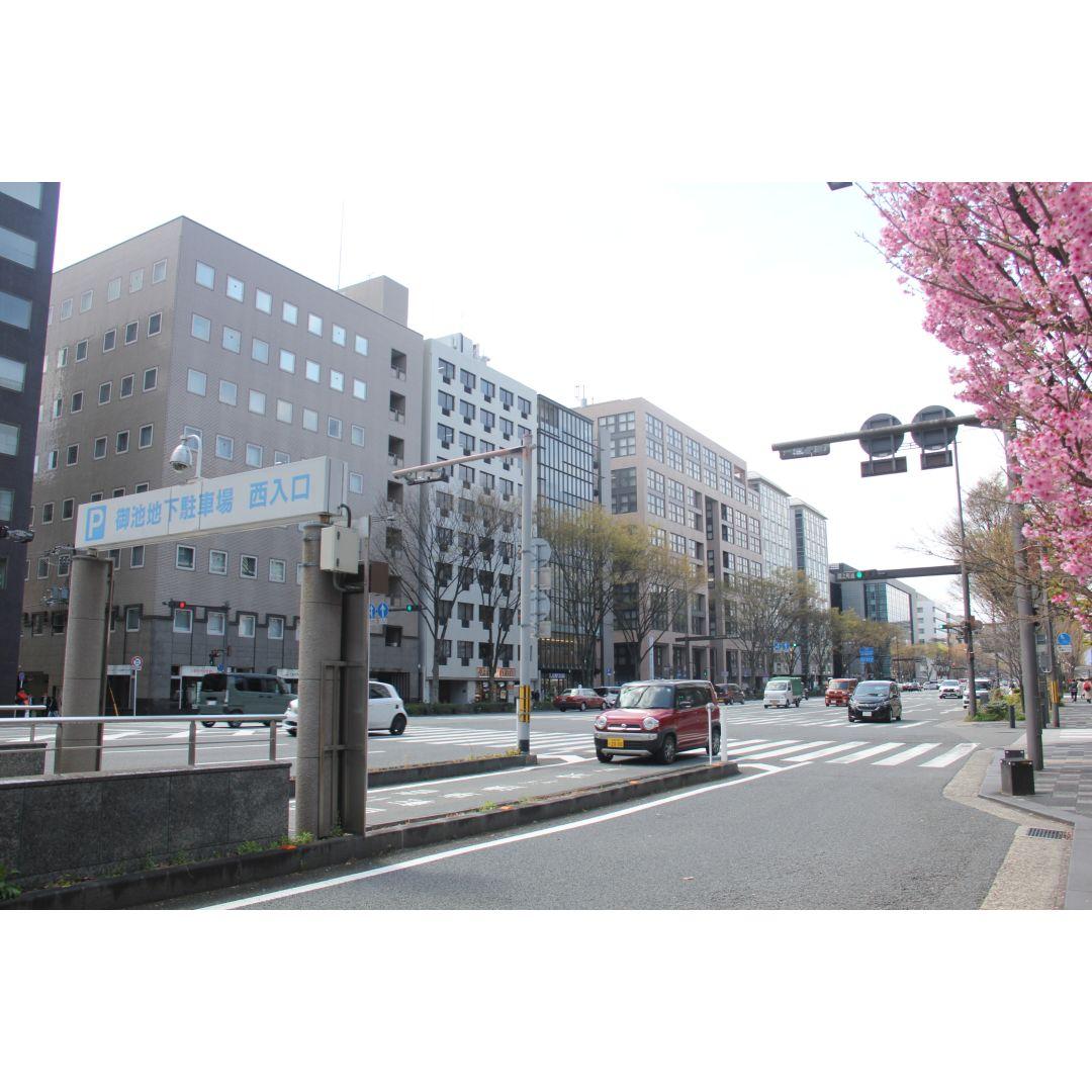 3/29実写8枚UP キャノン Canon EF-S 18-135mm IS