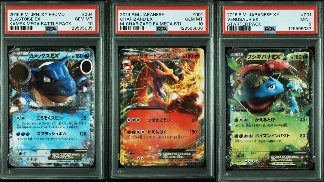 カメックスex　リザードンex　フシギバナex　PSA10 PSA9 3連番