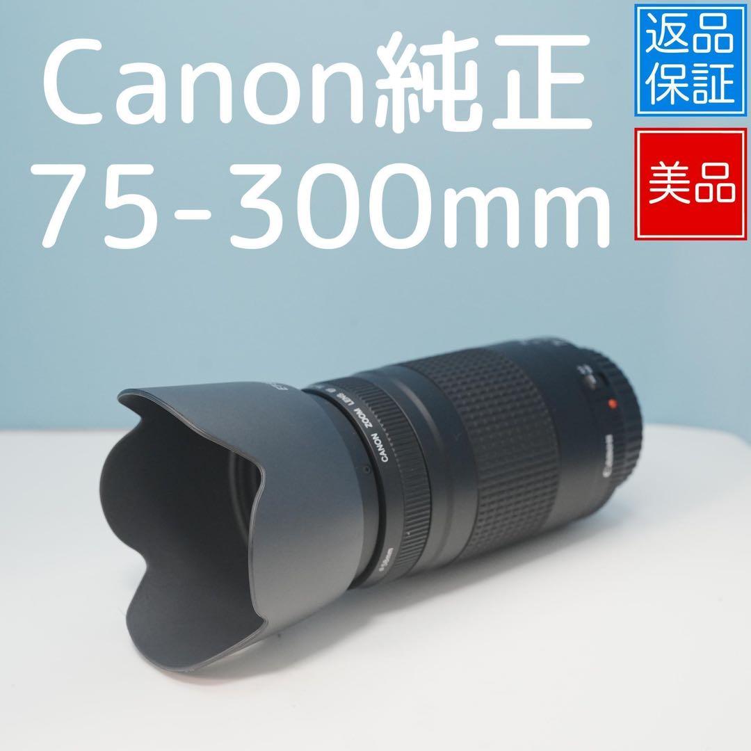 Canon純正 75-300mm 望遠レンズ 美品 a5030