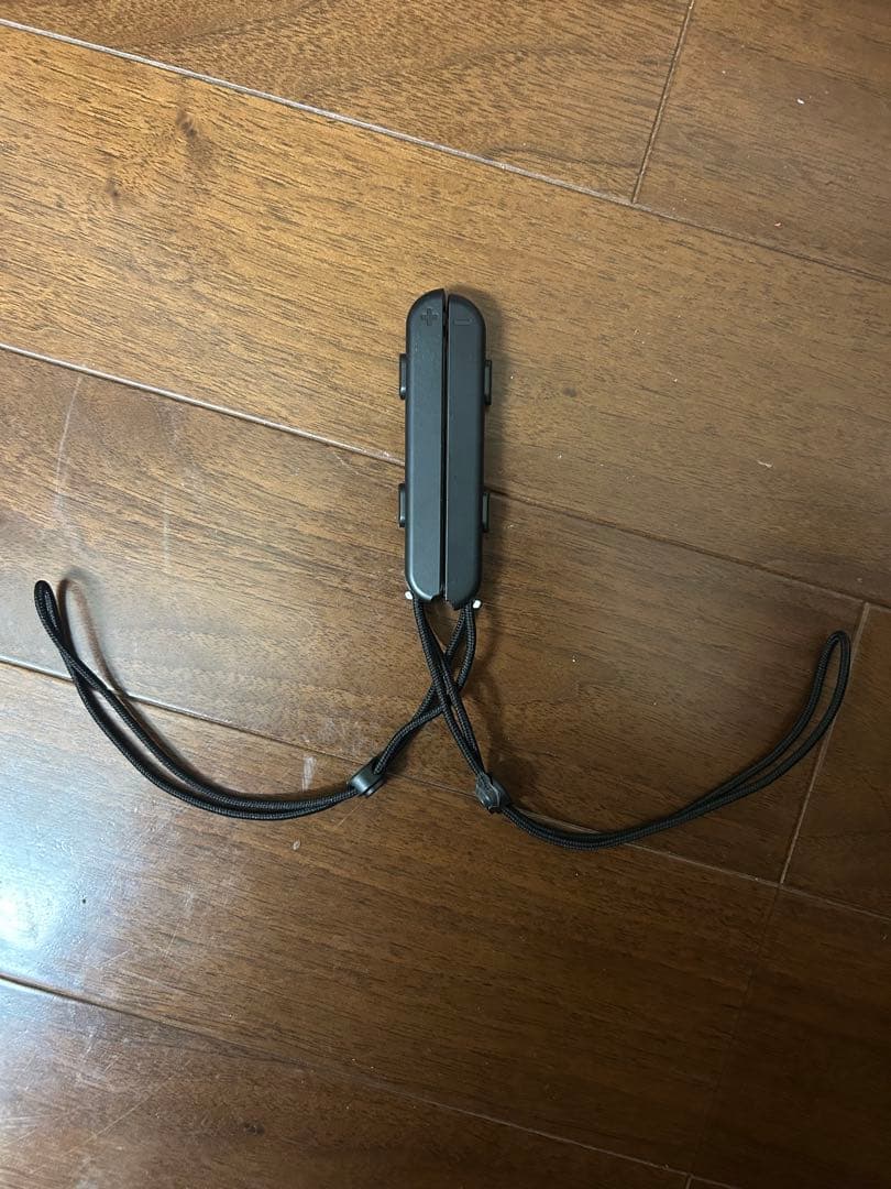 Nintendo Switch 本体付属品 +プロコン