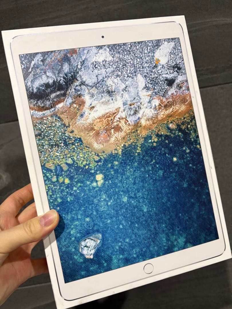 化粧箱あり　iPad Pro