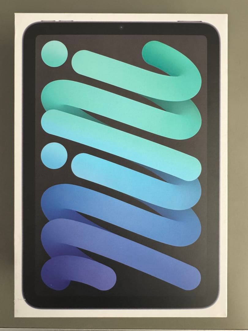 iPad mini 6 Wi-Fi+Celluar 256GB スペースグレー