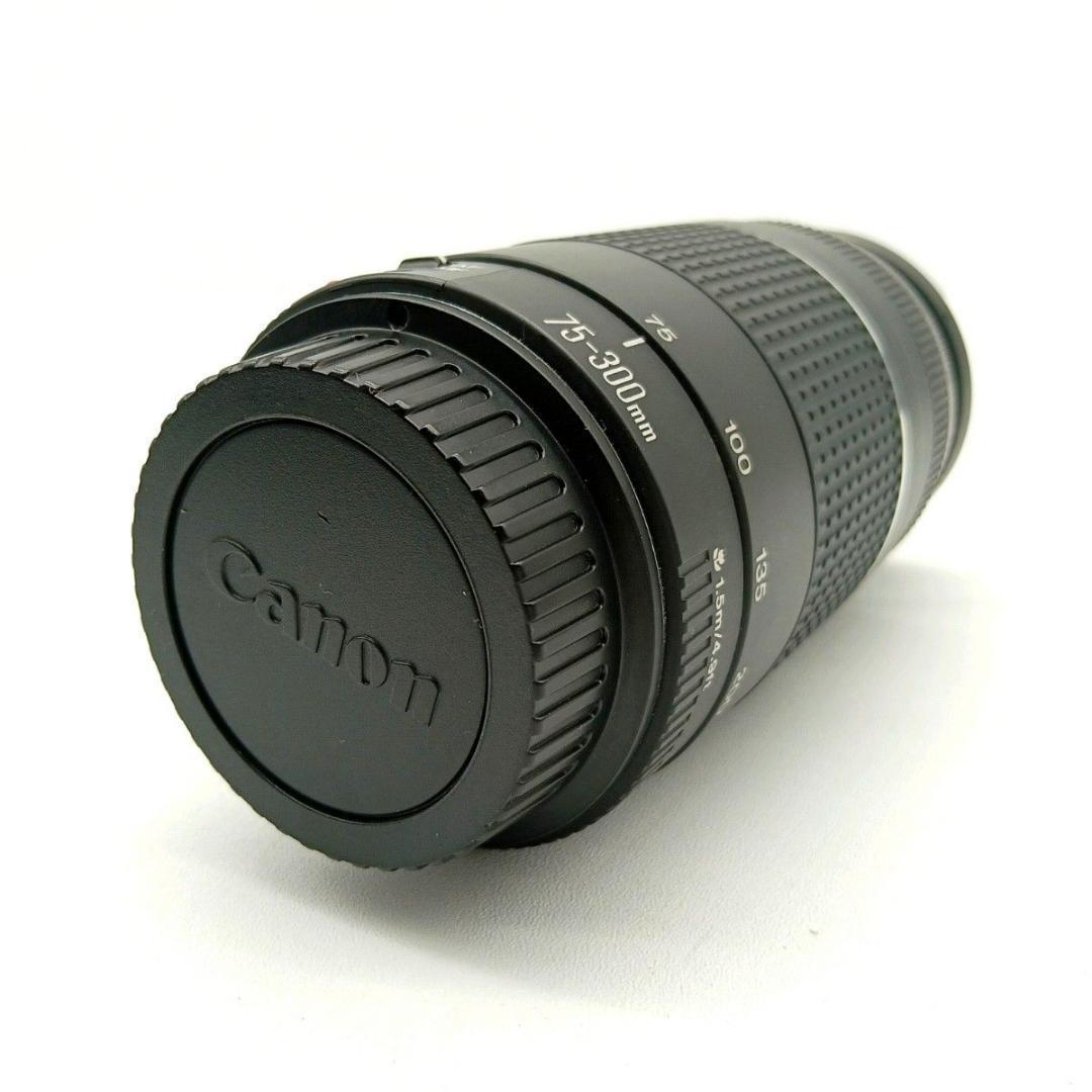 Canon 望遠レンズ EF 75-300mm F4-5.6 Ⅲ キャノン