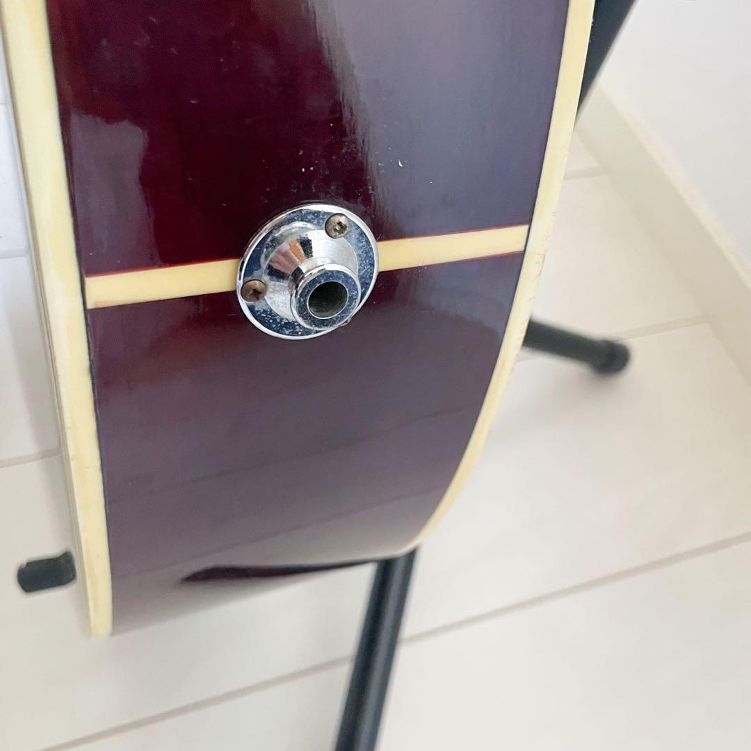 Pro Martin　custom　　EA500W　WRS エレアコ　ギター