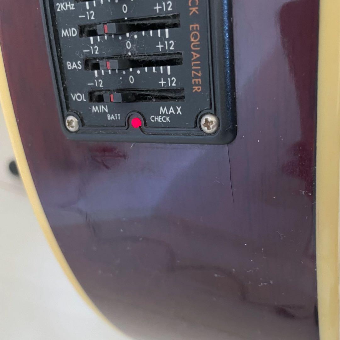 Pro Martin　custom　　EA500W　WRS エレアコ　ギター