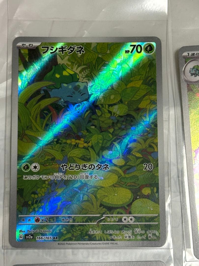 151 カメックスex sar/フシギバナex sar 進化ライン