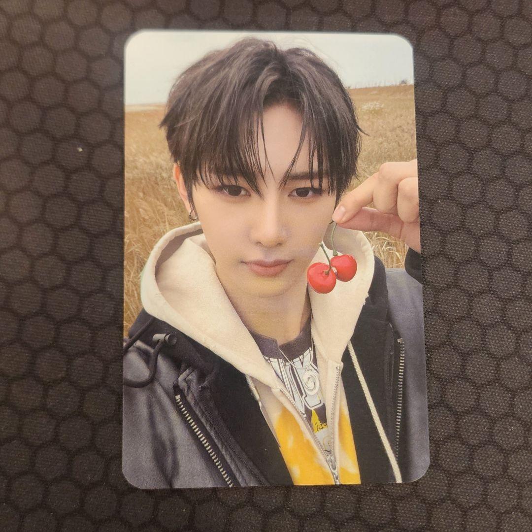 韓国　alphadriveone ald1　アンシン　サノク　 トレカ