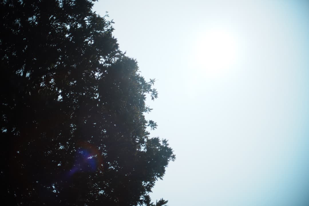 アダプターつきミノルタ MC-ROKKOR PG 50mm F1.4 448