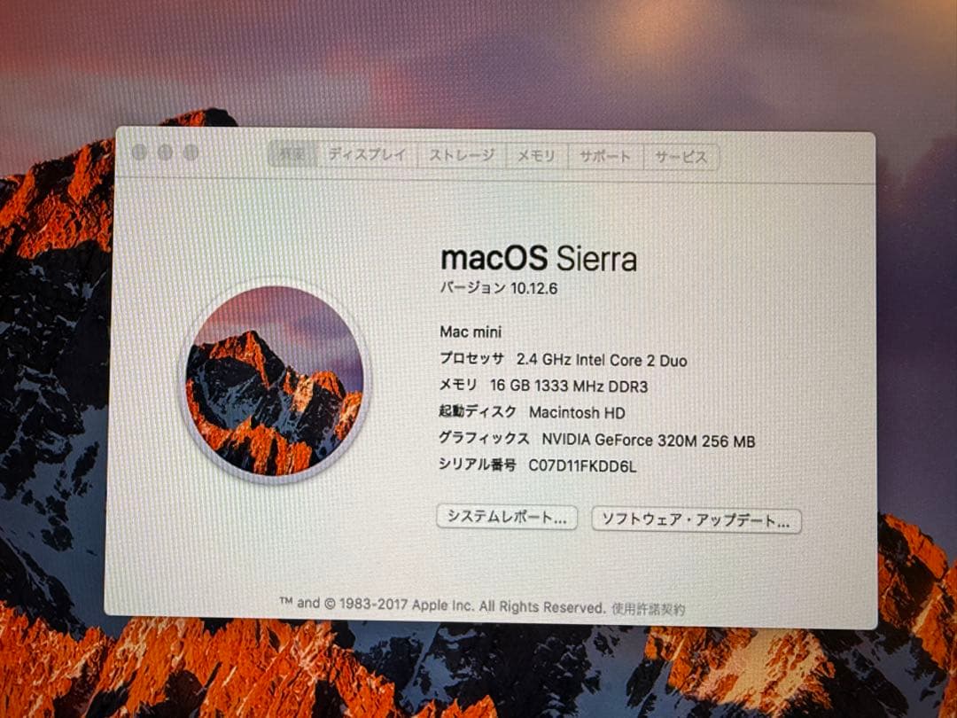 Mac mini Mid 2010 メモリ16GB/SSD250GB換装済み