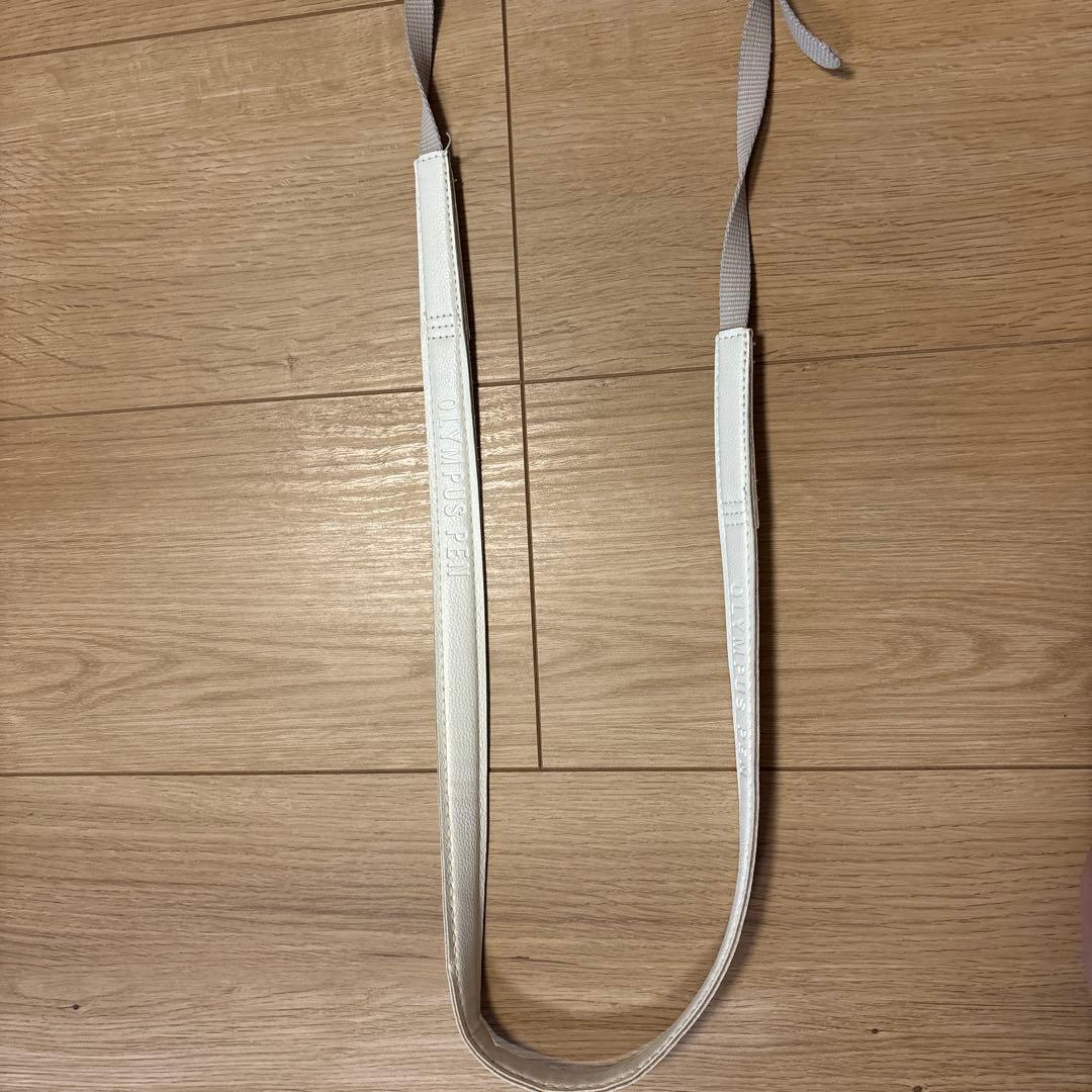 【箱付き】 OLYMPUS オリンパス PEN E-PL10 ミラーレスカメラ