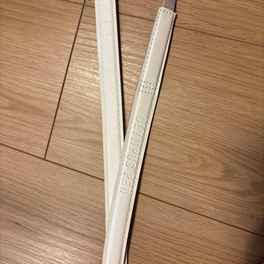 【箱付き】 OLYMPUS オリンパス PEN E-PL10 ミラーレスカメラ