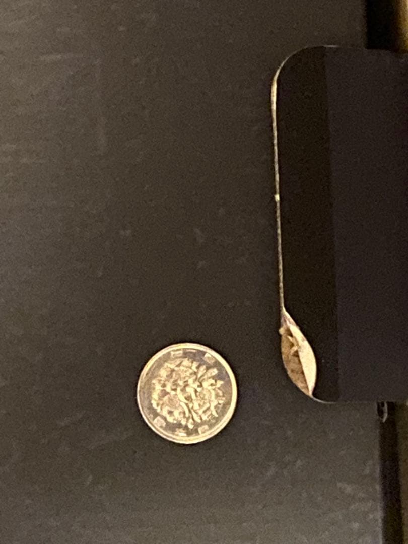 開封未使用品 COOLPROPS ネギガンテ カプコン フィギュア