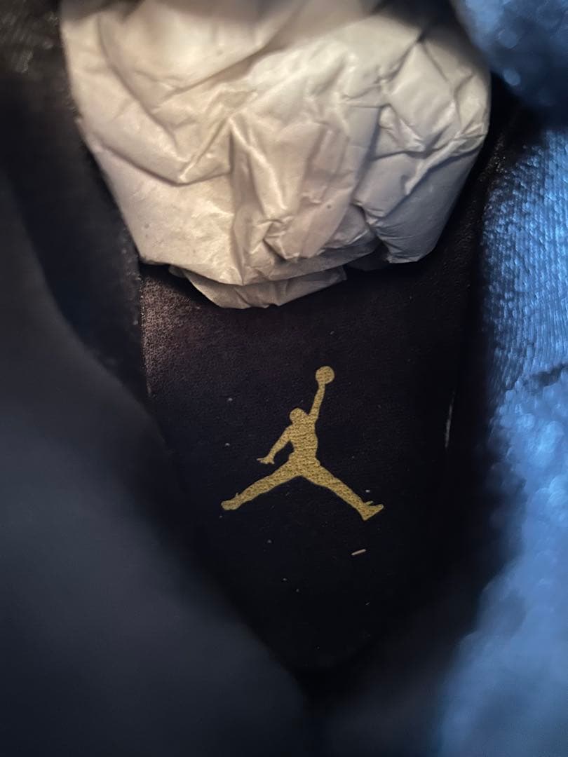 靴 Nike Air Jordan 11 Retro Gamma 2025 27cm