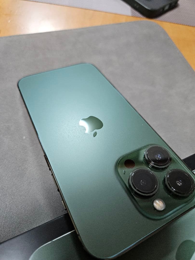 Apple iPhone 13 Pro グラファイト ケース付き