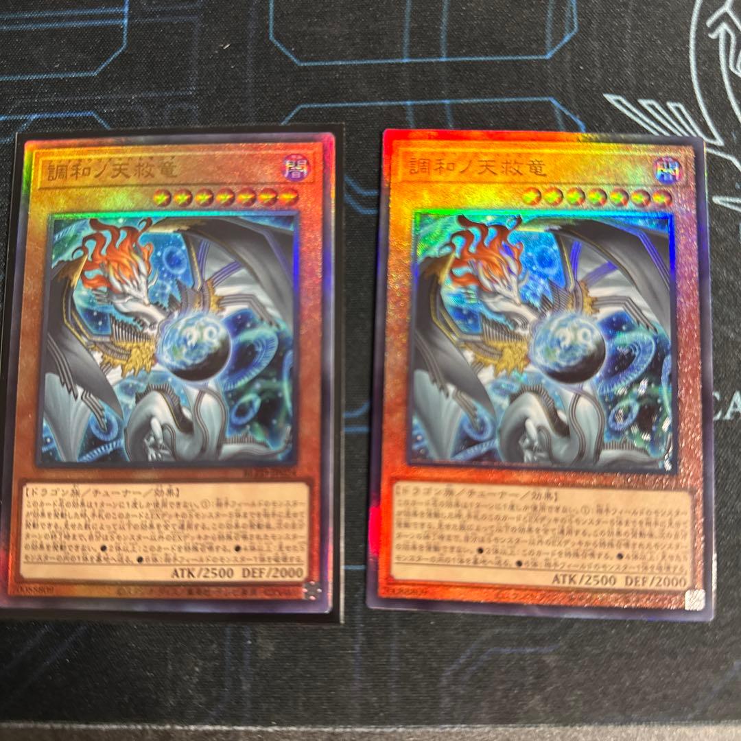 調和ノ天救竜　フィドラウリス＝ハルモニア　レリーフ 2枚