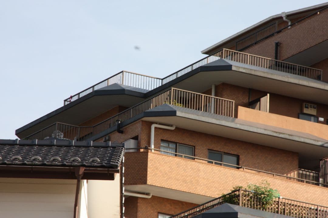 美品　シグマ SIGMA 18-200mm F3.5-6.3 DC OS