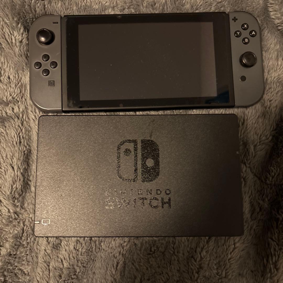 ぽ*様 Nintendo Switch グレー 本体