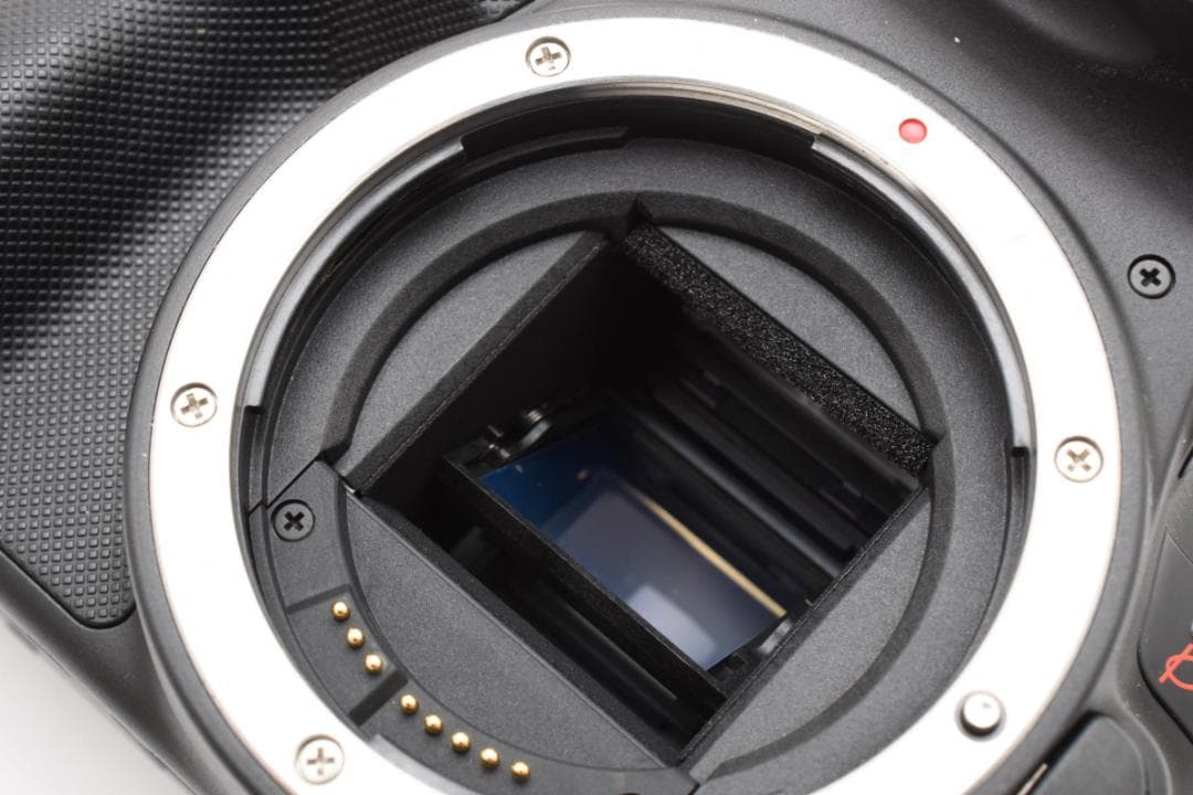 Canon EOS Kiss X7 + 18-55mm 一眼レフレンズキット