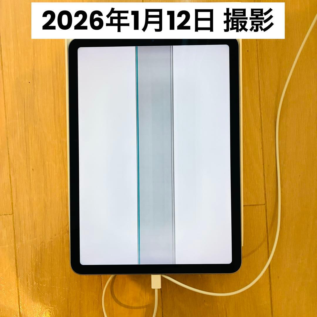 ジャンク品 iPad Air 第4世代 Wi-Fi 256GB スカイブルー