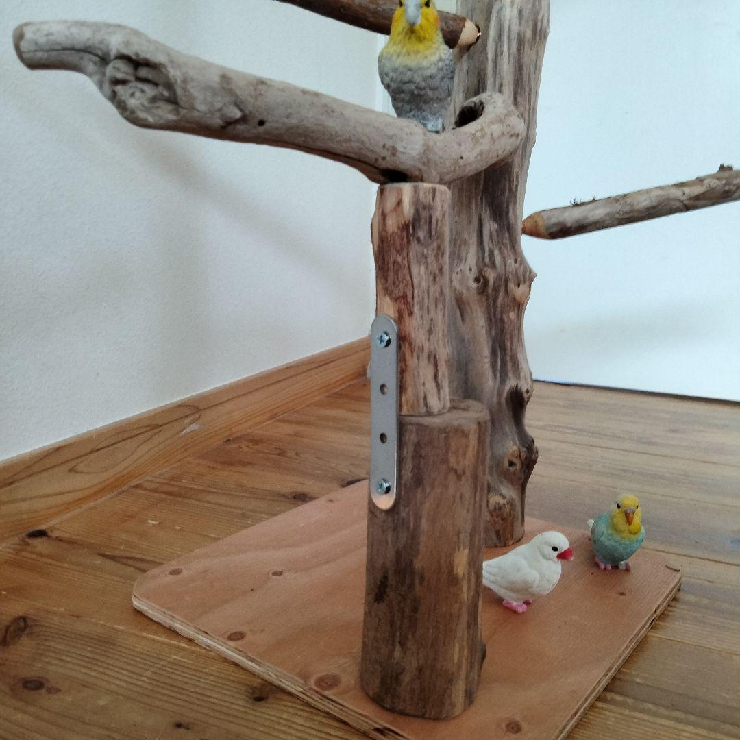 ocean バードアスレチックジム 天然木 自然木 流木 止まり木 インコ