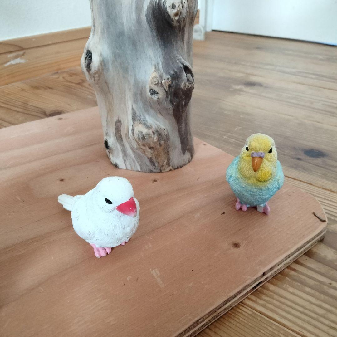 ocean バードアスレチックジム 天然木 自然木 流木 止まり木 インコ