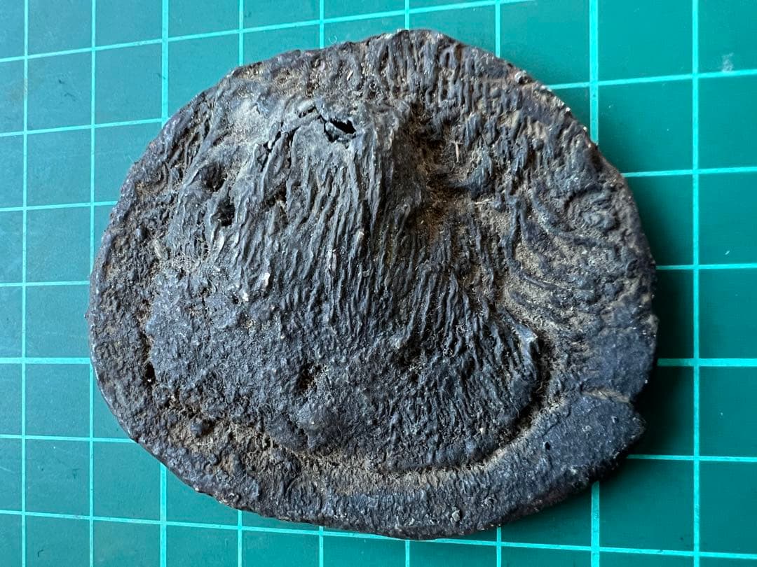 外国銀貨　シャム銀錠