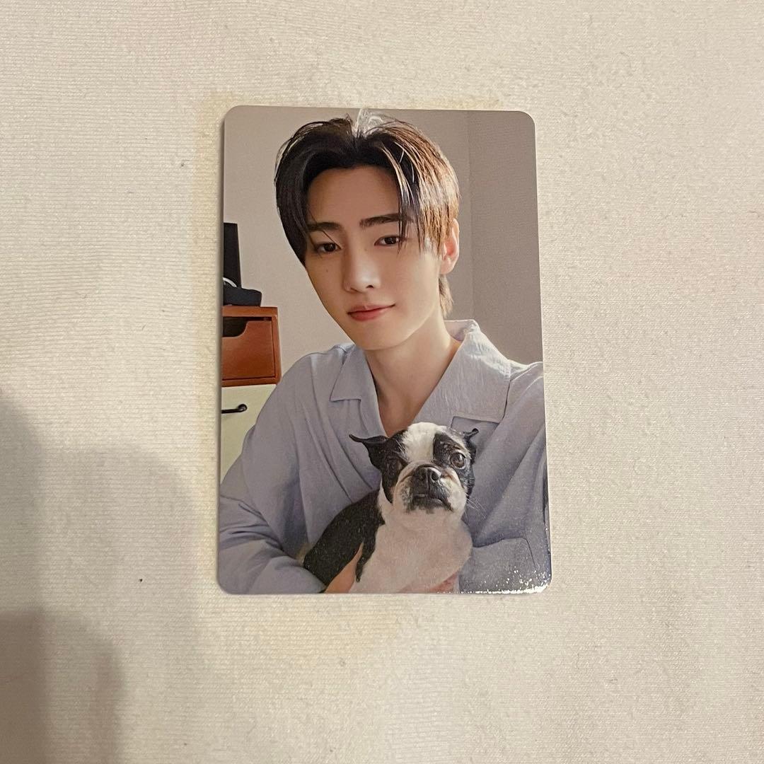 ENHYPEN アンケートトレカ 2025 ソンフン