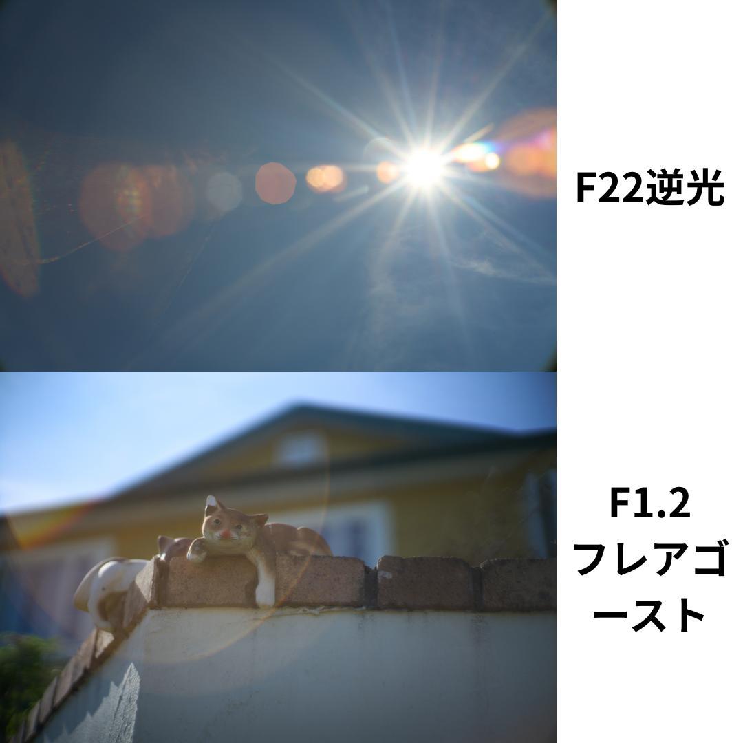 フィルムカメラ CANON 50mm F1.2 L39