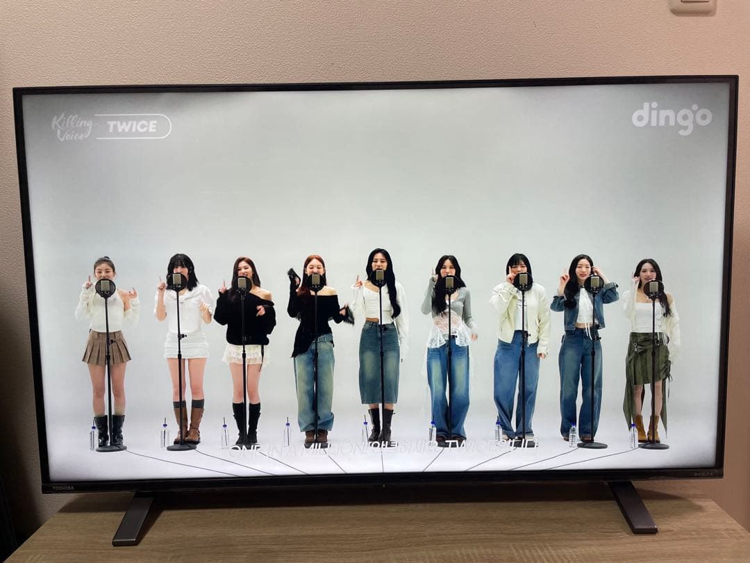 TOSHIBA REGZA 4K液晶テレビ【43C350X】