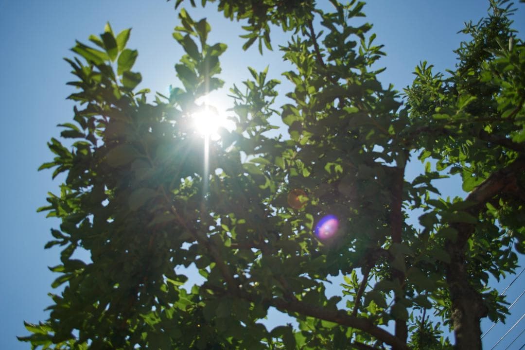 レンズ(ズーム) Nikon AF-S DX 18-55 f3.5-5.6G VR #L95