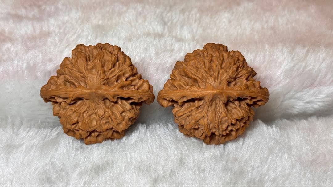 2025:收藏レベル、矮桩官帽3