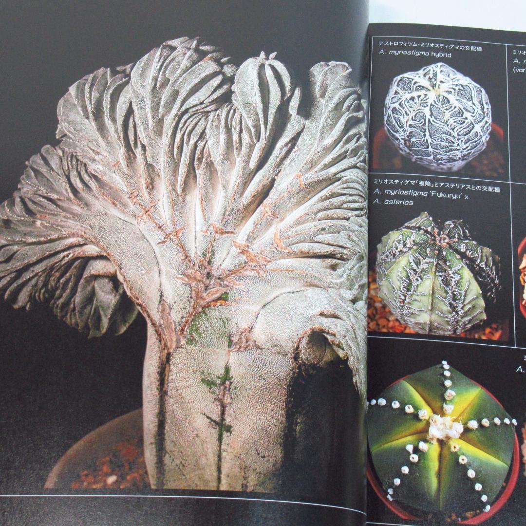 ひろ　サボテン全書 All about CACTUS 【貴重本 初版】