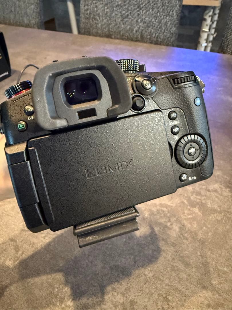 パナソニックLUMIX DC-GH5S 本体レンズセット