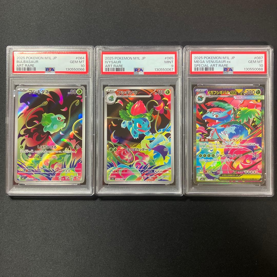 【PSA連番】メガフシギバナ　進化ライン3枚セット