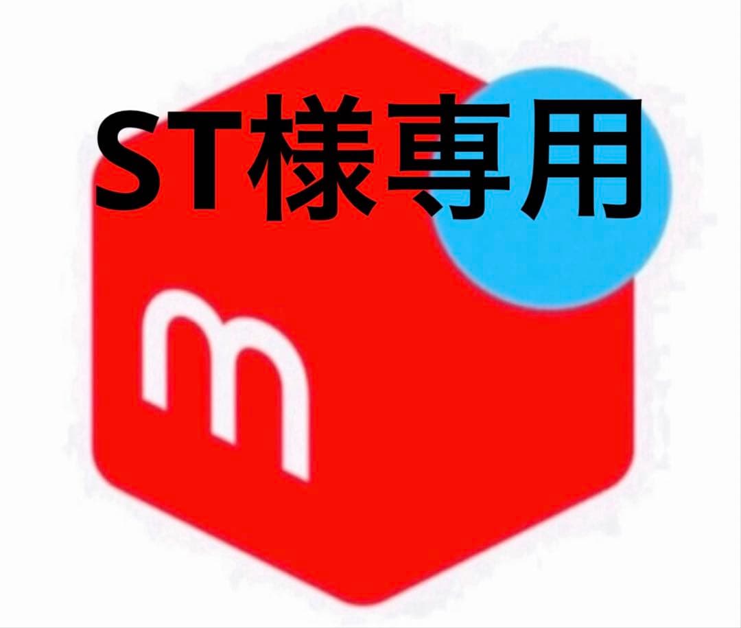 その他 ST