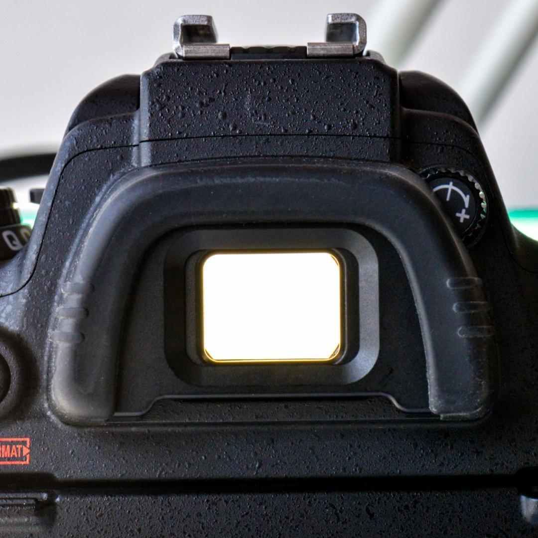 ニコン NIKON D750 シャッターカウント 13251ショット