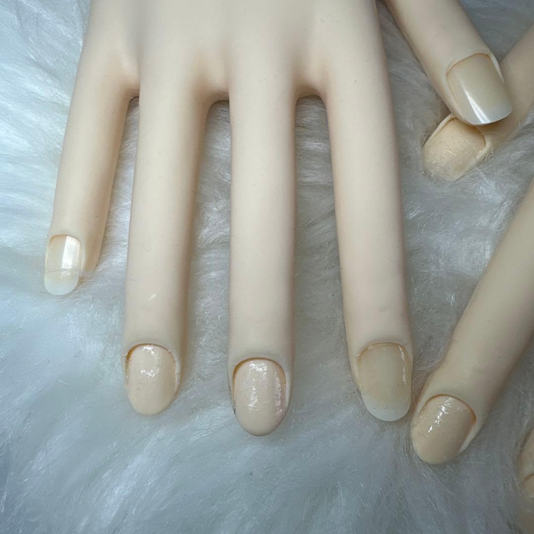 《骨折なし》JNEC 認定モデルハンド箱無し